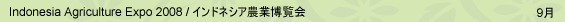 9月 Indonesia Agriculture Expo 2008 / インドネシア農業博覧会