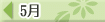 5月
