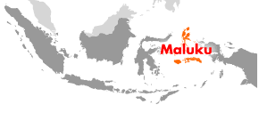 マルク諸島Map